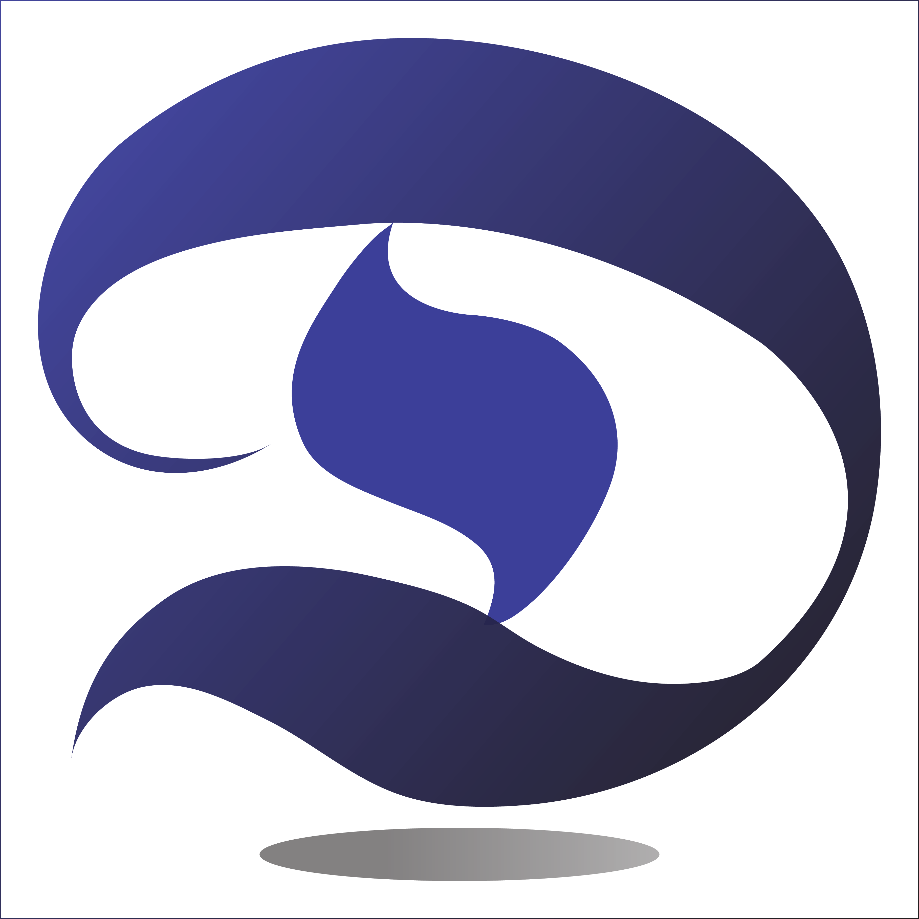 Dynamic Solutions Pakistan